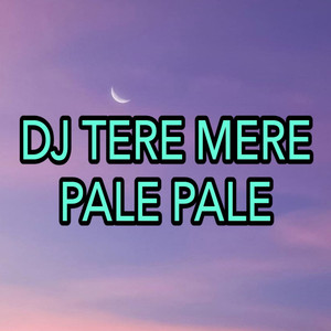 Download Lagu Dj Saputra - DJ Tere Mere - Pale Pale MP3 Download Lagu Dj Saputra - DJ Tere Mere - Pale Pale MP3
