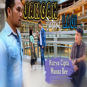 Download Lagu Wanna Annisyah Purba - Jangan Datang Lagi MP3