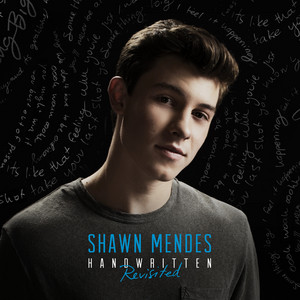 Download Lagu Shawn Mendes - Running Low MP3 Download Lagu Shawn Mendes - Running Low MP3