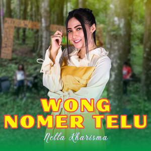 Download Lagu Nella Kharisma - Wong Nomer Telu MP3 Download Lagu Nella Kharisma - Wong Nomer Telu MP3