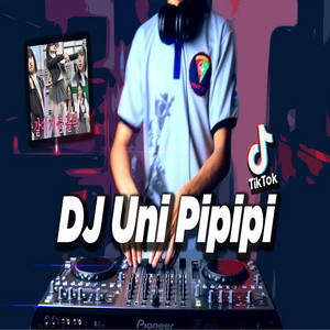 Download Lagu Dj Desa - Dj Uni Pipipi Viral Tik tok MP3