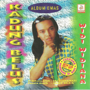 Download Lagu Widi Widiana - Kadung Belus MP3 Download Lagu Widi Widiana - Kadung Belus MP3