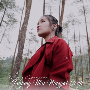 Download Lagu Dhevy Geranium - Tanjung Mas Ninggal Janji MP3 Download Lagu Dhevy Geranium - Tanjung Mas Ninggal Janji MP3