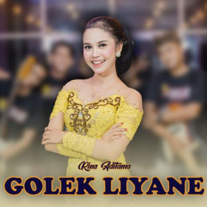 Download Lagu Rina Aditama - Golek Liyane MP3