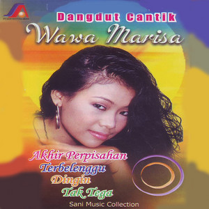 Download Lagu Wawa Marisa - Mengejar Badai MP3