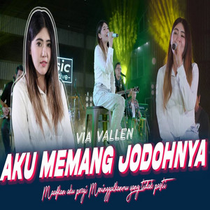 Download Lagu Via Vallen - Aku Memang Jodohnya MP3 Download Lagu Via Vallen - Aku Memang Jodohnya MP3