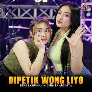 Download Lagu dike sabrina, Shinta Arsinta - Dipetik Wong Liyo MP3